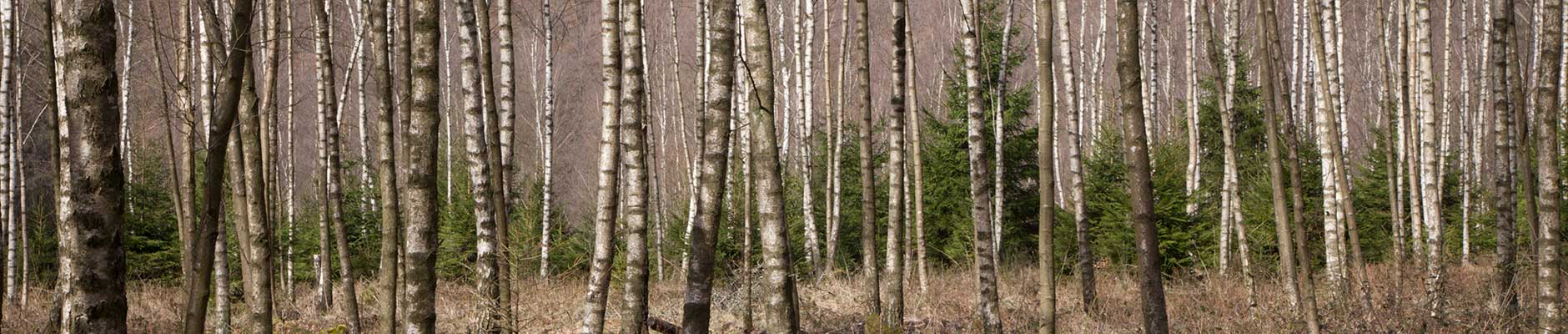 omgeving Villa Katara